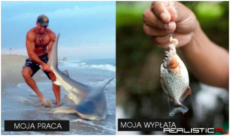 Jaka praca taka płaca