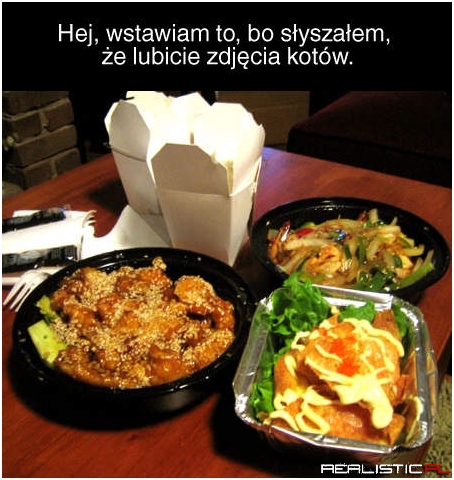 Kotki są spoko