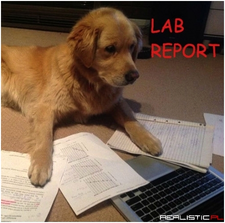 Lab Report