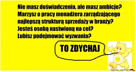 Nie masz doświadczenia ale masz ambicje?