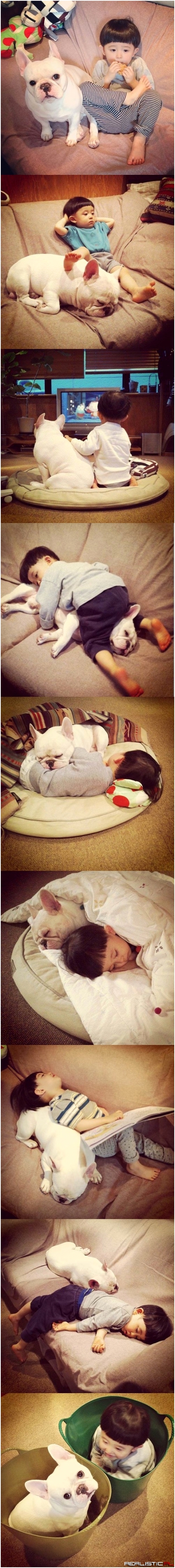 Niezwykła przyjaźń chłopca i psa