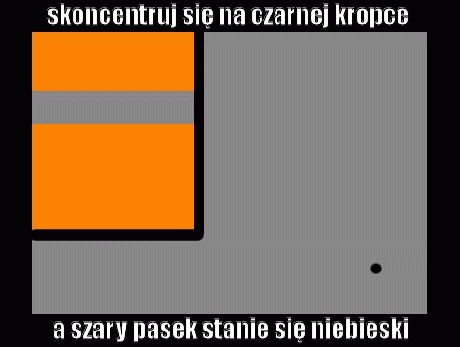 Patrz na kropkę