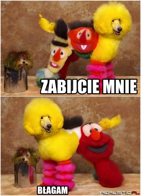 Pies błagający o śmierć