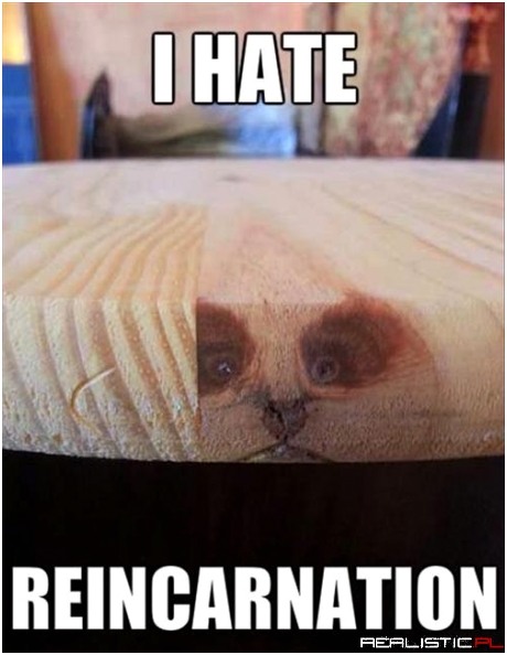 Reinkarnacja