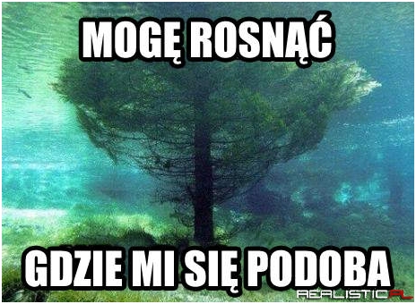 Skocz mi