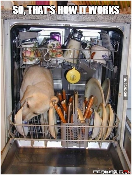 Tak działa zmywarka