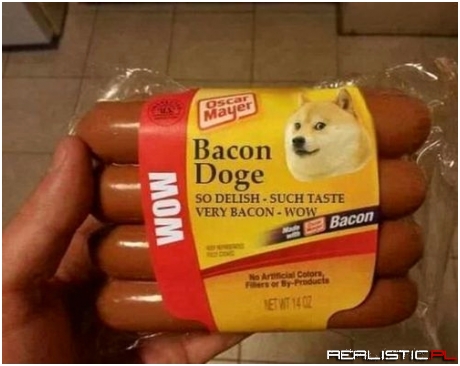 Bacon Doge
