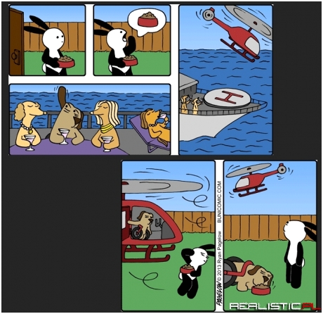 Buni, pies i czas karmienia