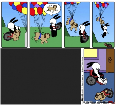 Buni, weterynarz