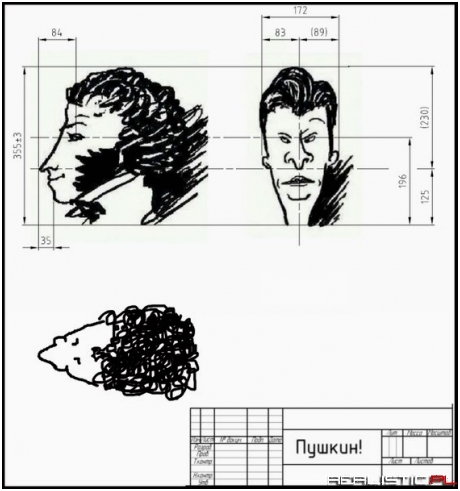 Butt head, przekrój gęby