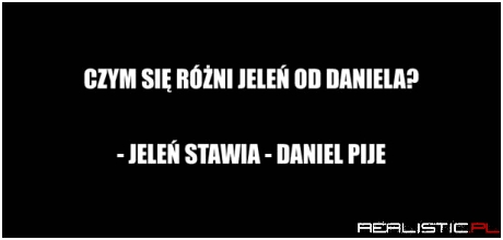 Czym się różni jeleń od daniela