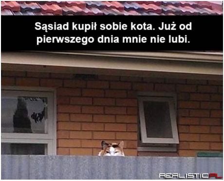 Ech te koty
