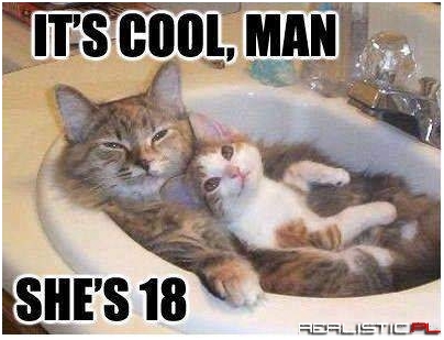 It's cool