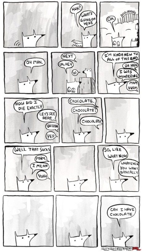 Każdy pies na świecie