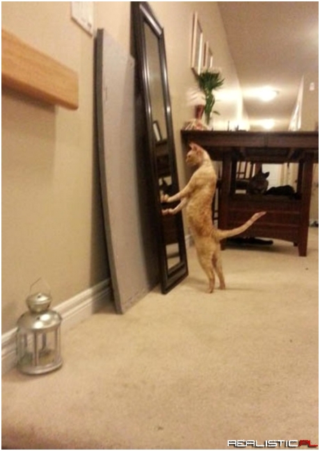 Kobieta przed wyjściem