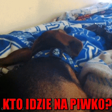 Kto idzie na piwko?