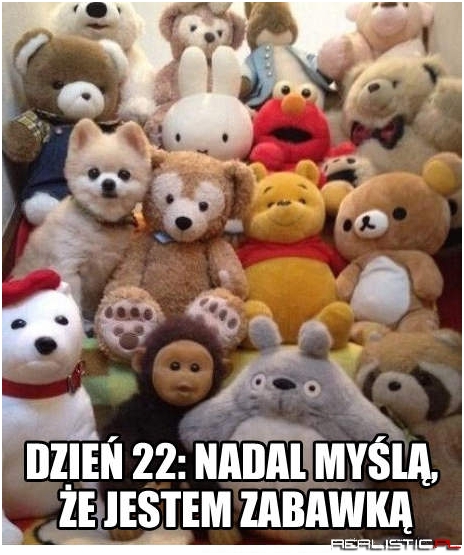 Nadal nie zauważyli