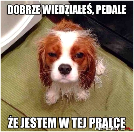 No właśnie, wiedziałeś?