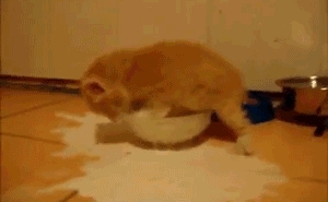 O boże o boże mleko mleko mleko