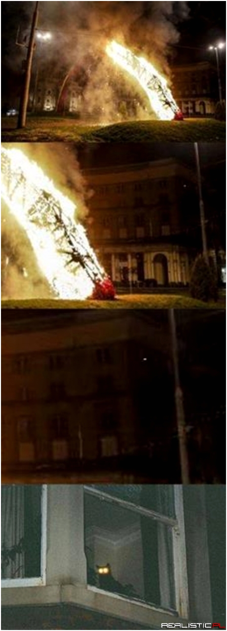 O kocie, który wzrokiem spalił tęczę :)