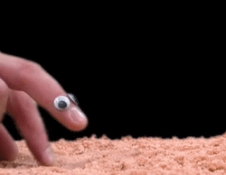 Pajonk, taki straszny