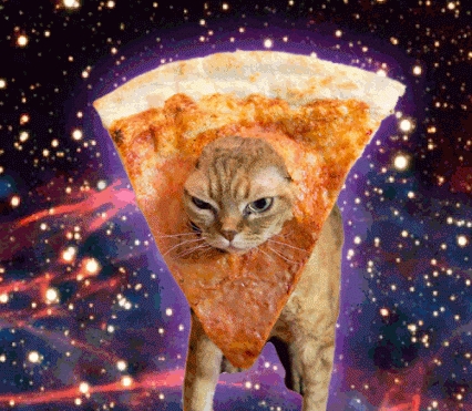 Pizza cat