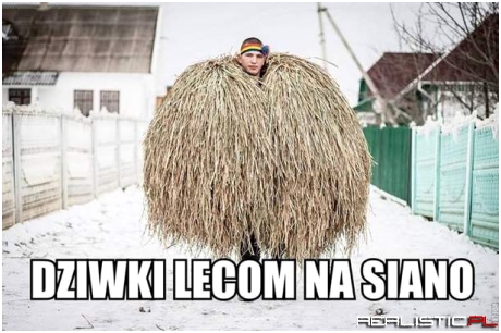 Siano to podstawa