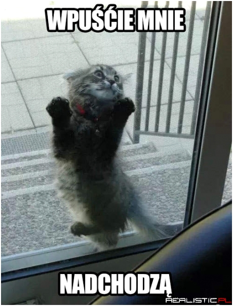 Wpuśćcie mnie