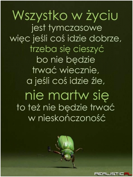 Wszystko w życiu