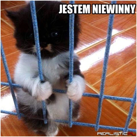 Wypuść mnie