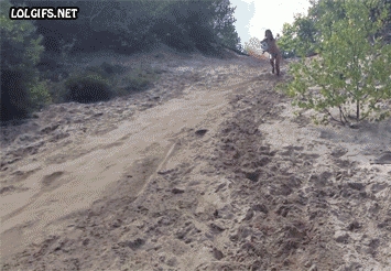 Z górki na pazurki