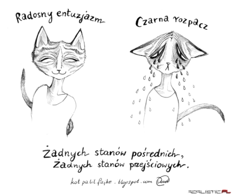 Żadnych stanów pośrednich