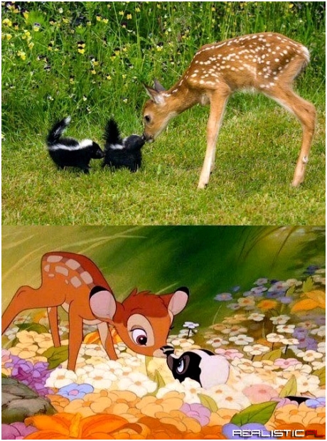 Bambi w realu :)