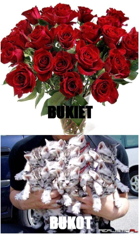 Buk