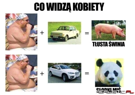 Co widzą