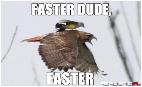 Dawaj, dawaj !