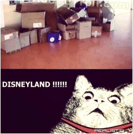 Disneyland