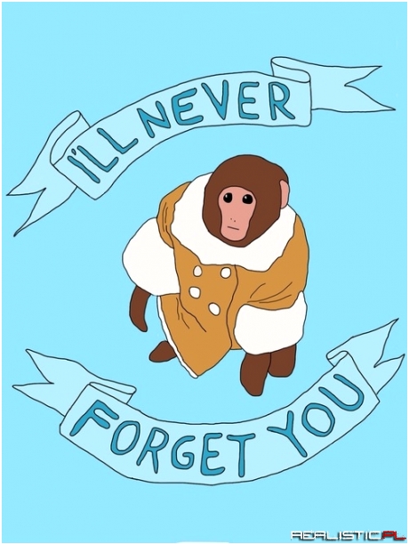 Ikea Monkey