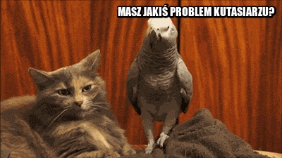 Jakiś problem?