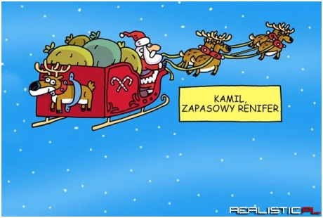 Kamil, zapasowy renifer