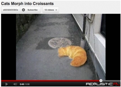 Kot ewolujący w croissanta