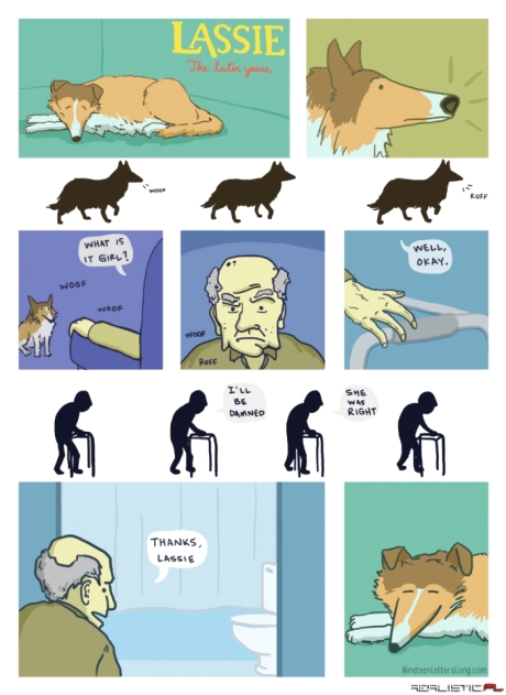 Lassie, wiele lat później