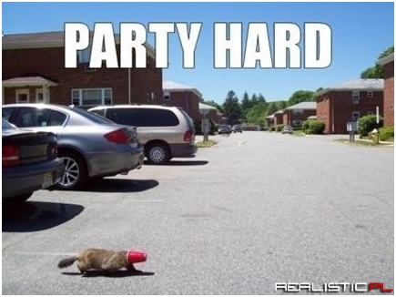 Party hard