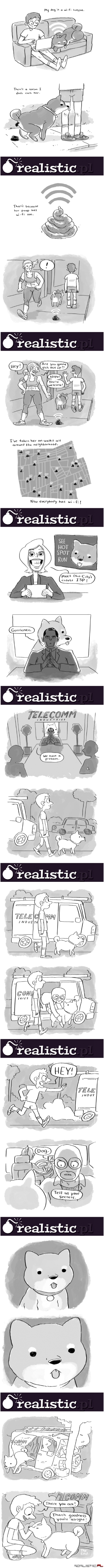 Pies - chodzący WiFi spot :)