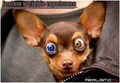 Powalające spojrzenie