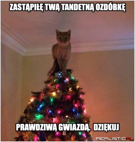 Prawdziwa gwiazda