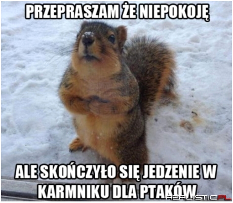Przepraszam, że niepokoję