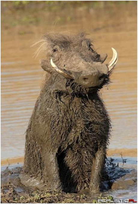 Radośc wypisana na ryju