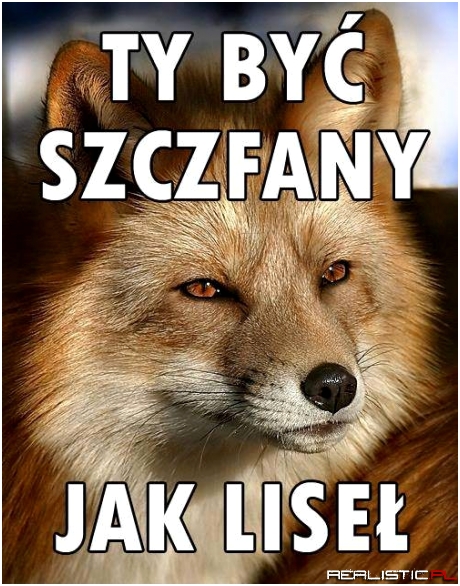 Szczfany