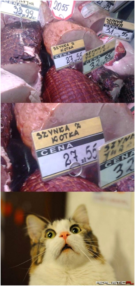 Szynka z kotka :)